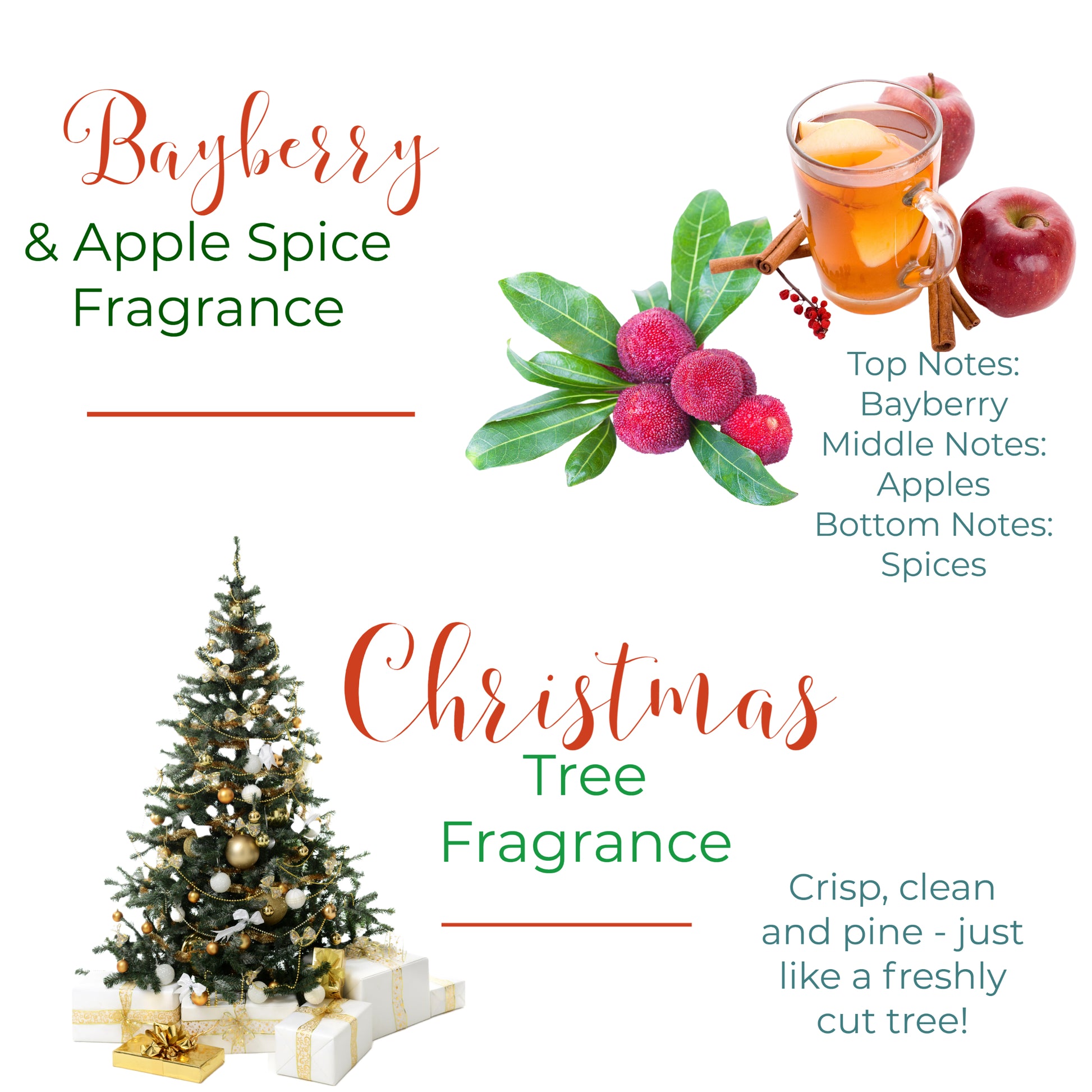 Christmas candle making kit for diy candle makers with soy wax and four candle vessels made of glass holiday fragrances for gift and stocking stuffers